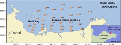 Effects of Algal Blooms on Phytoplankton Composition and Hypoxia in Coastal Waters of the Northern Yellow Sea, China